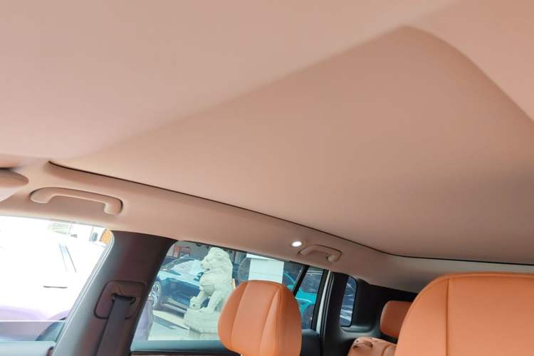 Used AION V 2024 Aion Tyrannosaurus 650 Smart Premium Edition Headliner