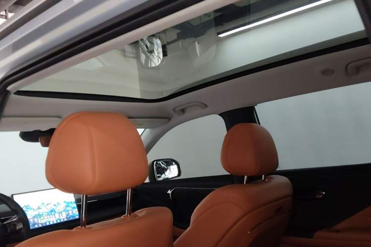 Used AION V 2024 Aion Tyrannosaurus 650 LiDAR Edition Headliner