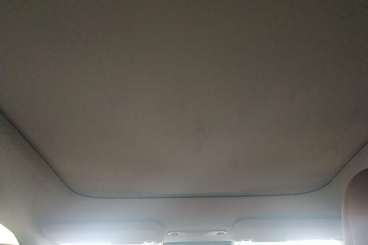 Used AION V 2024 Aion Tyrannosaurus 520 Intelligent Premium Edition Headliner
