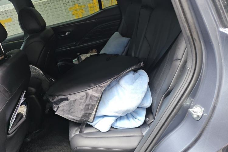 Used AION V 2024 Aion Tyrannosaurus 650 LiDAR Edition Left Rear Seat