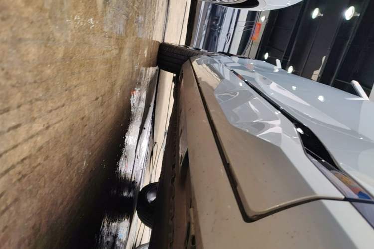 Used AION V 2024 Aion Tyrannosaurus 650 Smart Premium Edition Right Side Sill