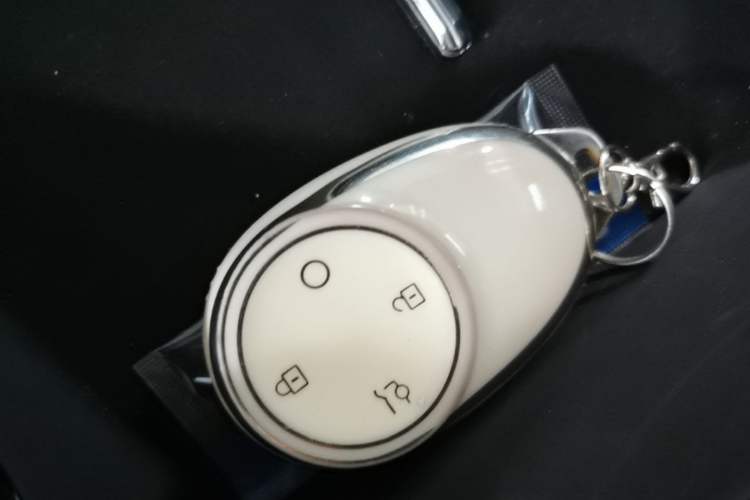 Used AION V 2024 Aion Tyrannosaurus 520 Smart Enjoy Edition Vehicle Key