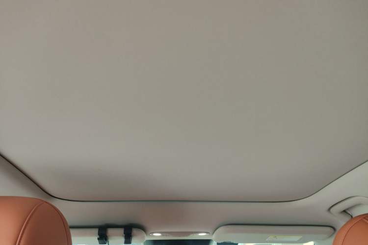 Used AION V 2024 Aion Tyrannosaurus 650 Smart Luxury Edition Headliner