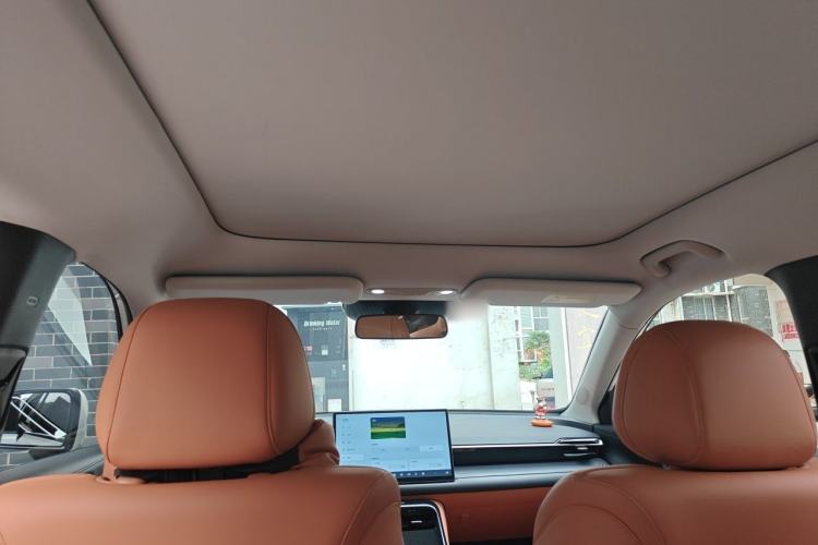 Used AION V 2024 Aion Tyrannosaurus 520 Executive Edition Headliner