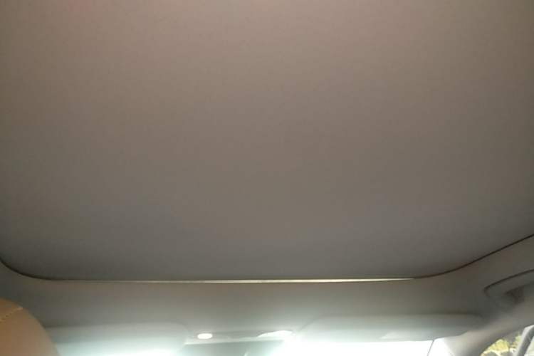 Used AION V 2024 Aion Tyrannosaurus 650 Smart Premium Edition Headliner