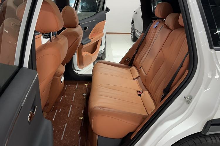 Used AION V 2024 Aion Tyrannosaurus 650 LiDAR Edition Interior 1