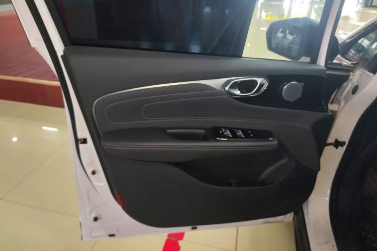 Used AION V 2024 Plus 70 Tech Edition Lithium Iron Phosphate Left Front Door Interior