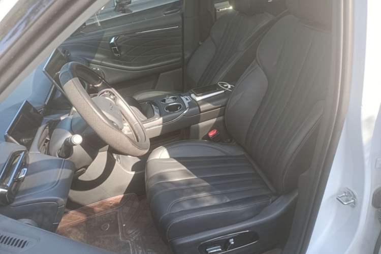 Used AION V 2024 Aion Tyrannosaurus 520 Intelligent Premium Edition Left Front Seat
