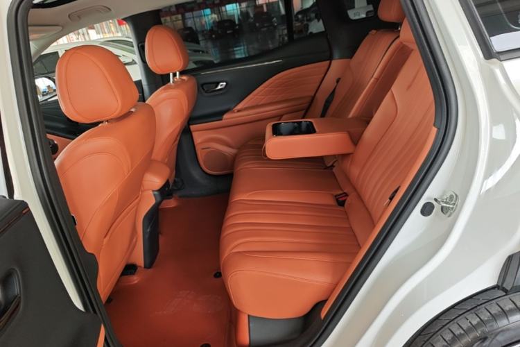 Used AION V 2024 Aion Tyrannosaurus 520 Smart Luxury Edition Left Rear Seat
