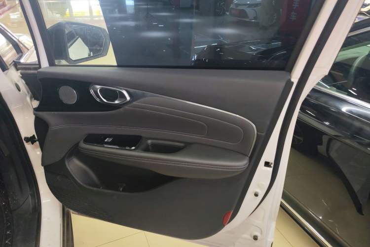 Used AION V 2024 Plus 70 Tech Edition Lithium Iron Phosphate Right Front Door Interior