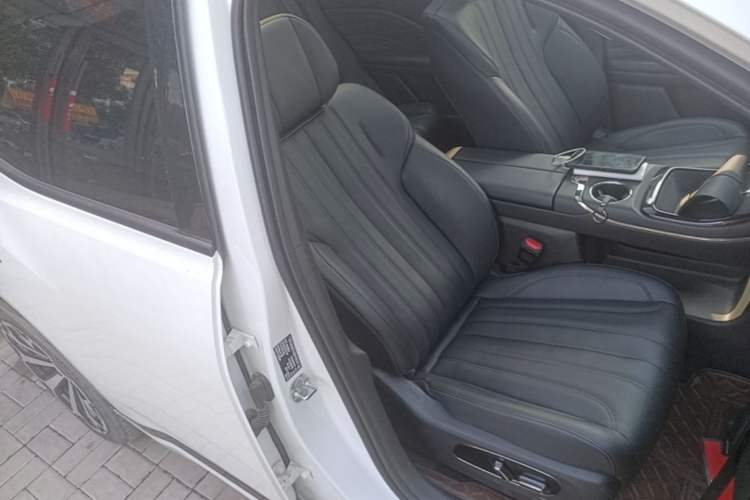 Used AION V 2024 Aion Tyrannosaurus 520 Intelligent Premium Edition Right Front Seat