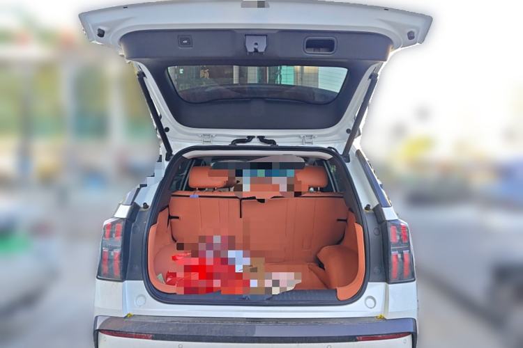 Used AION V 2024 Aion Tyrannosaurus 650 LiDAR Edition Trunk