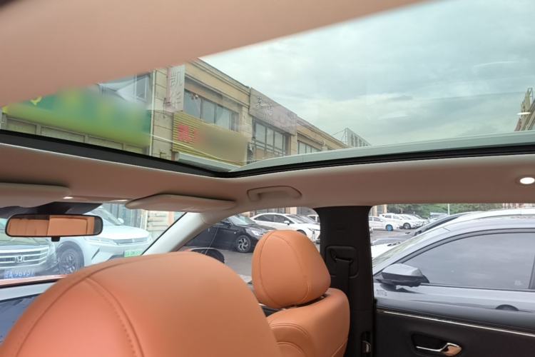 Used AION V 2024 Aion Tyrannosaurus 650 Smart Luxury Edition Headliner