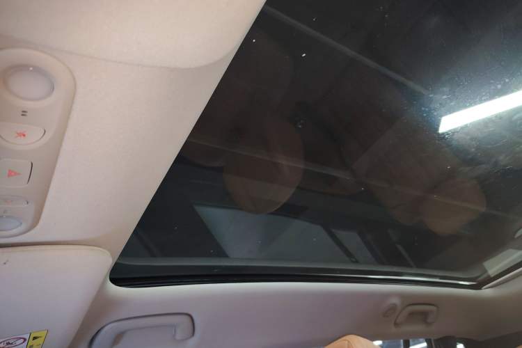 Used AION V 2024 Aion Tyrannosaurus 520 Smart Luxury Edition Headliner