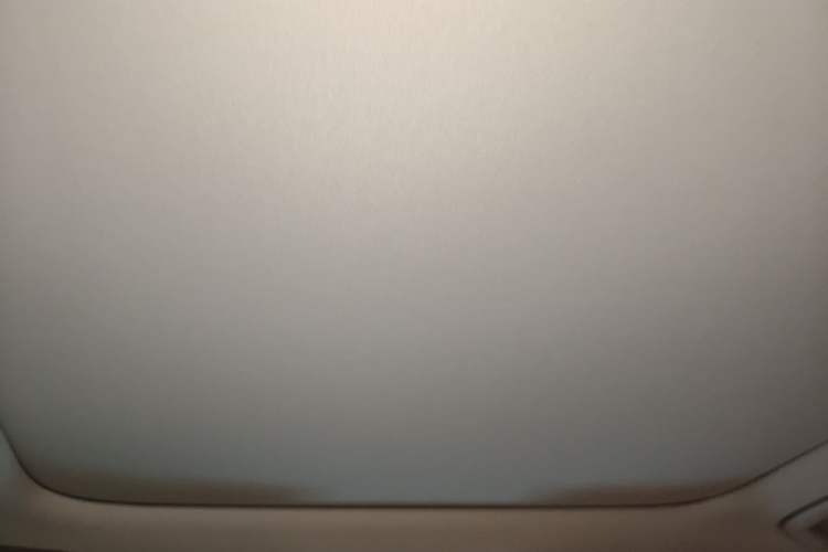 Used AION V 2024 Aion Tyrannosaurus 520 Smart Luxury Edition Headliner