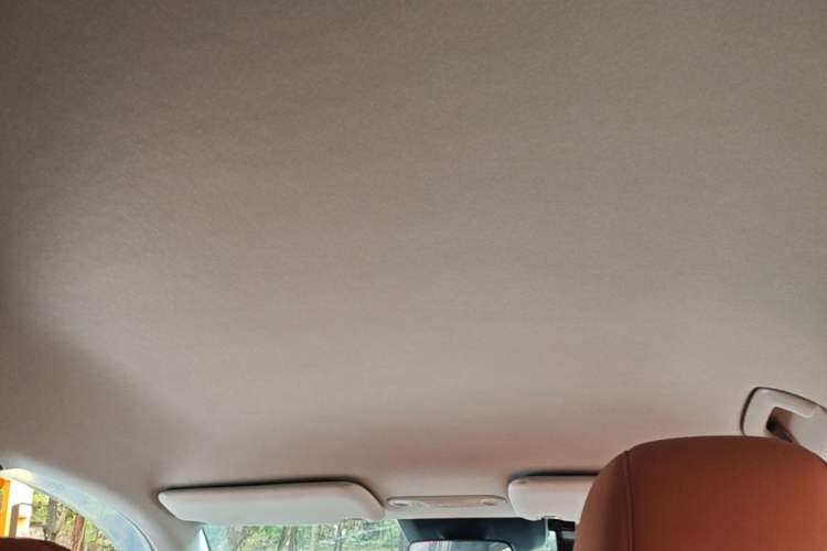 Used AION V 2025 Aion Tyrannosaurus 650 Smart Enjoy Edition Headliner