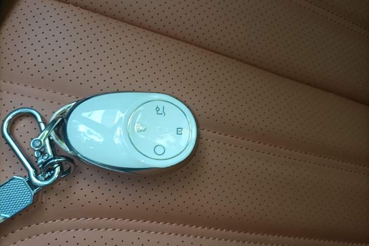 Used AION V 2025 Aion Tyrannosaurus 650 Smart Enjoy Edition Vehicle Key