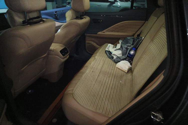 Used AION V 2026 Model Aion Tyrannosaurus Family Edition 520 Zhi Hao Edition Left Rear Seat