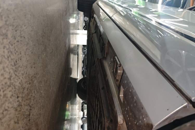 Used AION V 2026 Model Aion Tyrannosaurus Family Edition 650 Zhihao Edition Left Side Sill
