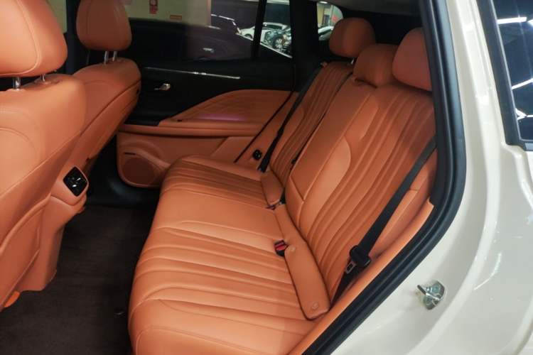 Used AION V 2026 Model Aion Tyrannosaurus Family Edition 520 Zhi Zun Edition Left Rear Seat