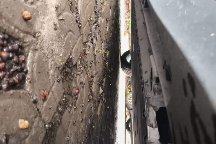 Used AION Y 2021 70 Tech Vitality Edition Chassis Front Right