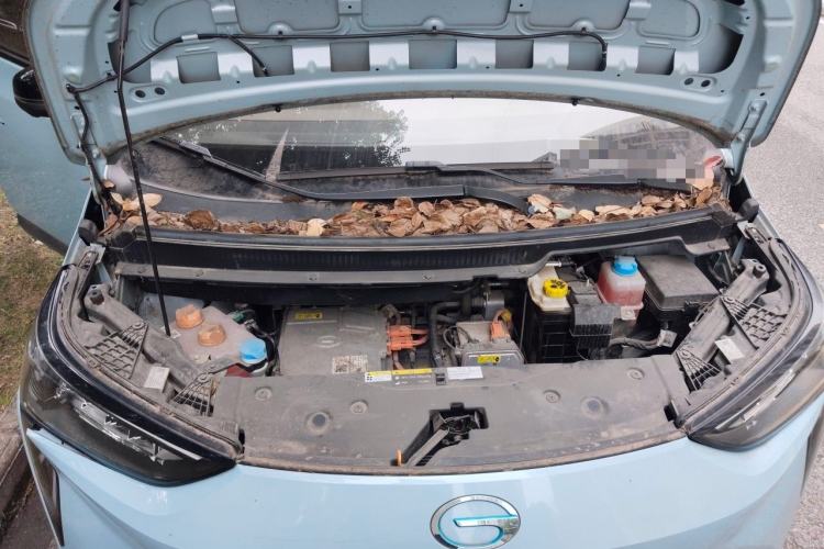 Used AION Y 2021 70 Intelligent Dynamic Edition Engine Bay