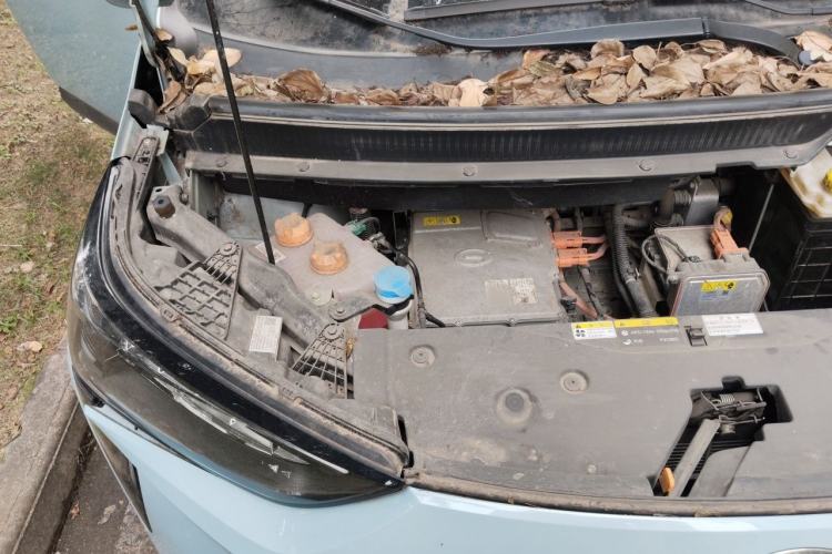 Used AION Y 2021 70 Intelligent Dynamic Edition Engine Bay Right