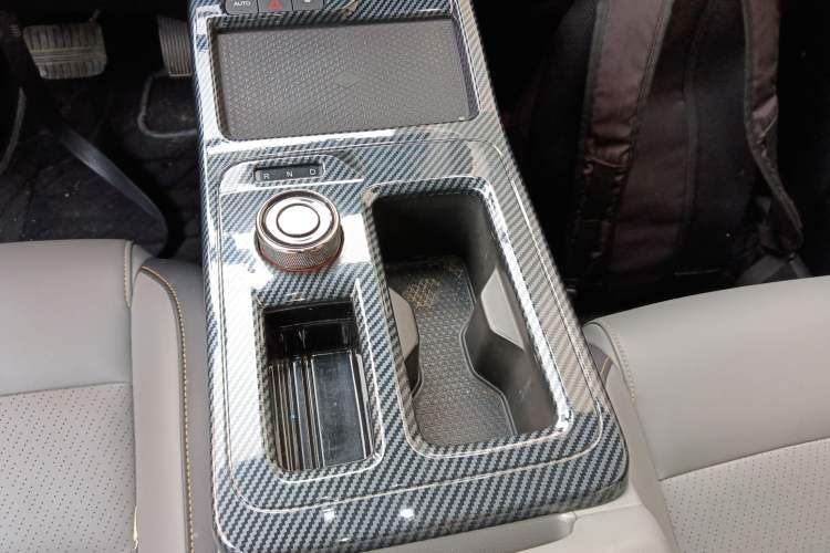Used AION Y 2021 70 Tech Vitality Edition Gear Lever
