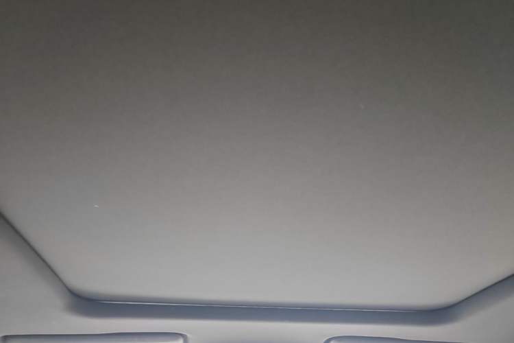 Used AION Y 2021 70 Intelligent Dynamic Edition Headliner
