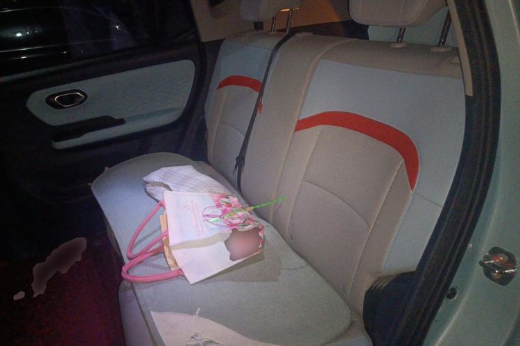 Used AION Y 2021 70 Tech Vitality Edition Left Rear Seat
