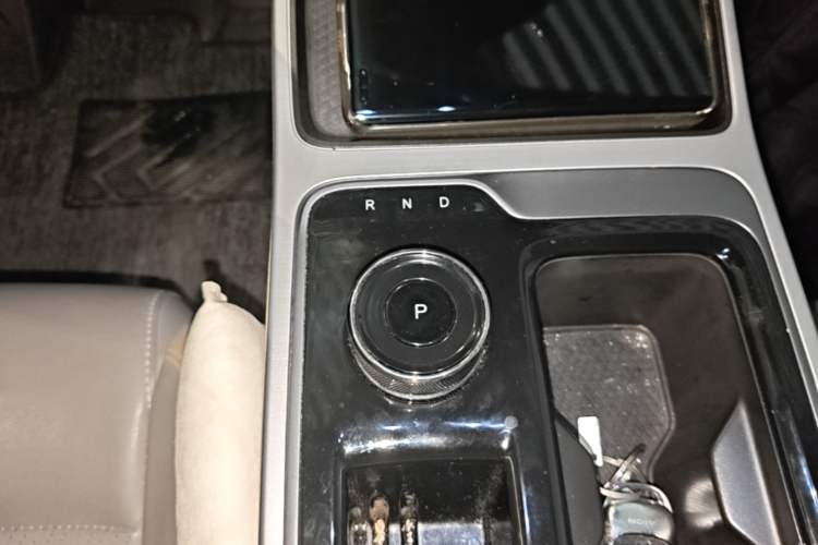 Used AION Y 2021 80 Enjoyment Tech Edition Gear Lever