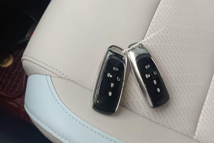 Used AION Y 2021 60 Enjoy Edition Vehicle Key