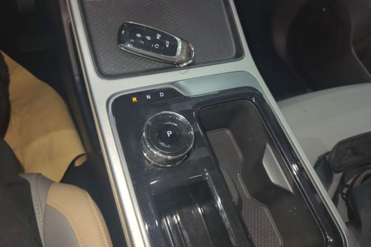 Used AION Y 2021 70 Tech Vitality Edition Gear Lever