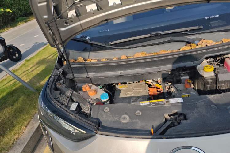 Used AION Y 2021 70 Intelligent Dynamic Edition Engine Bay Right