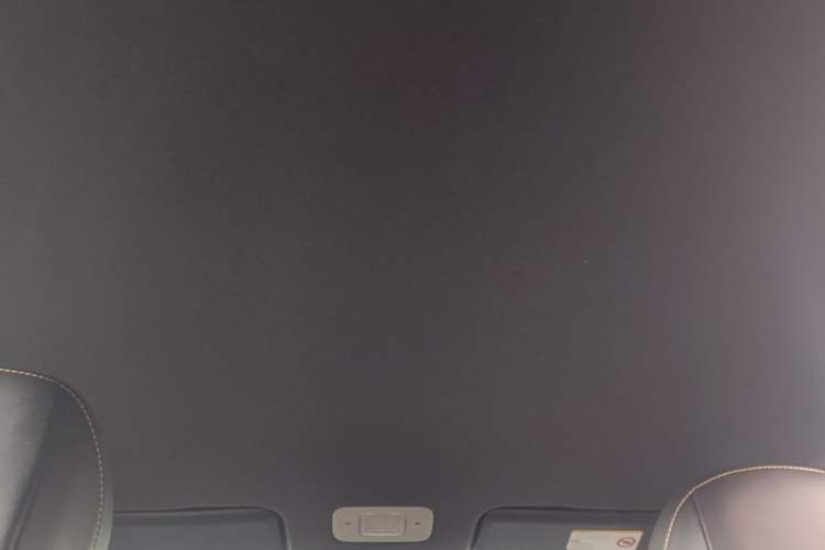 Used AION Y 2021 70 Enjoy Vitality Edition Headliner