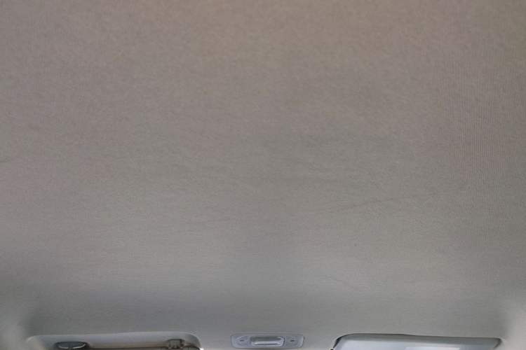 Used AION Y 2021 70 Enjoy Vitality Edition Headliner