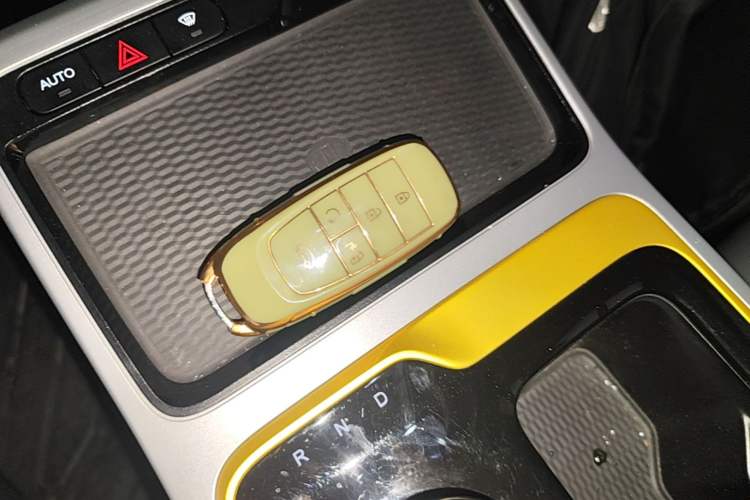 Used AION Y 2021 70 Tech Vitality Edition Vehicle Key