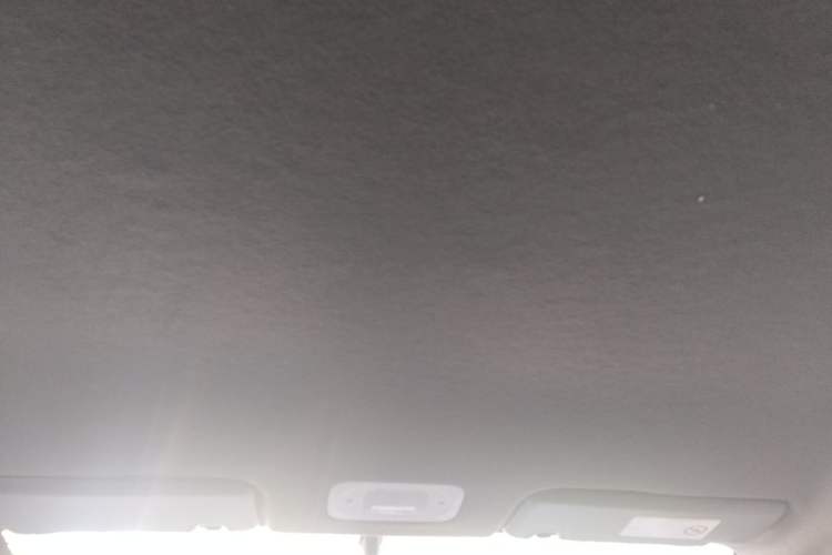 Used AION Y 2021 70 Enjoy Vitality Edition Headliner