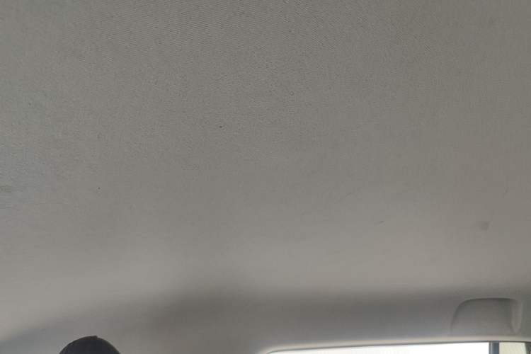 Used AION Y 2021 70 Enjoy Edition Headliner