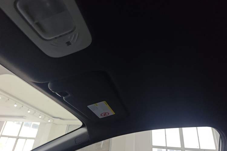 Used AION Y 2021 70 Enjoy Edition Headliner