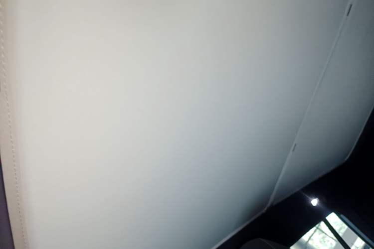 Used AION Y 2022 70 Intelligent Edition Lithium Iron Phosphate Headliner