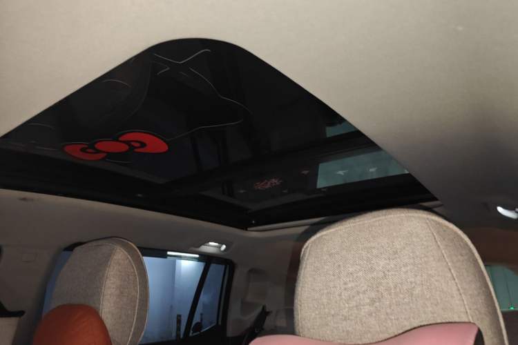Used AION Y 2022 70 Intelligent Edition Lithium Iron Phosphate Headliner