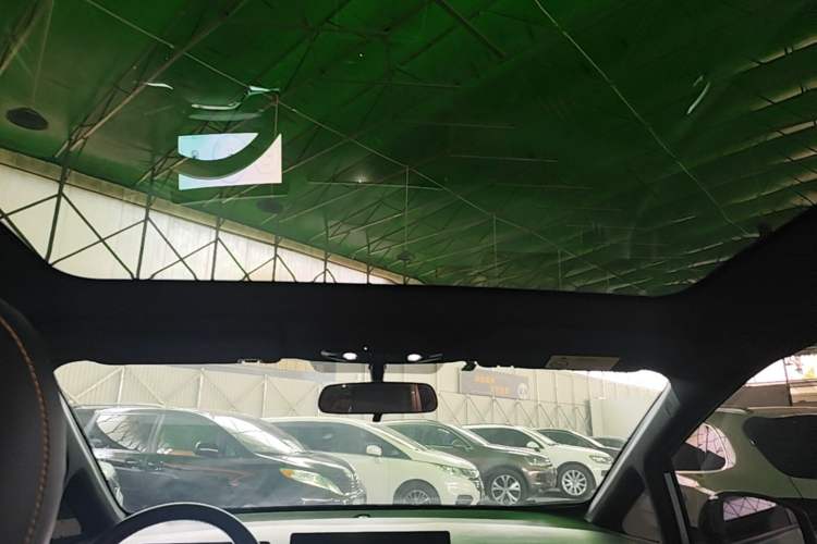 Used AION Y 2022 70 Enjoyment Edition Lithium Iron Phosphate Headliner