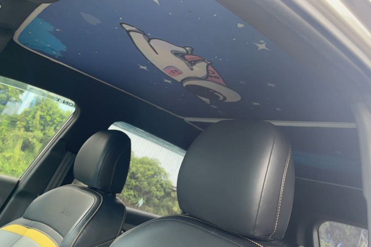 Used AION Y 2022 70 Intelligent Edition Lithium Iron Phosphate Headliner