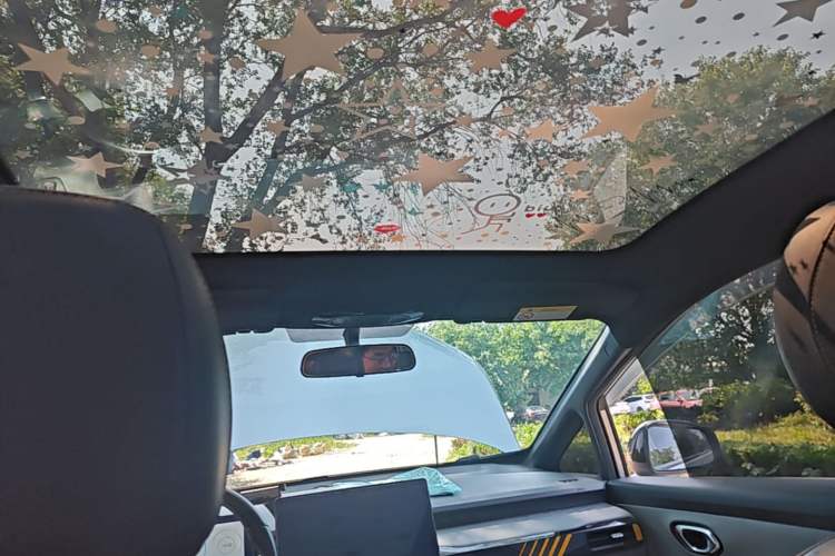 Used AION Y 2022 70 Enjoyment Edition Lithium Iron Phosphate Headliner