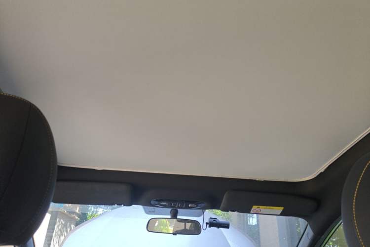 Used AION Y 2022 70 Tech Edition Lithium Iron Phosphate Headliner