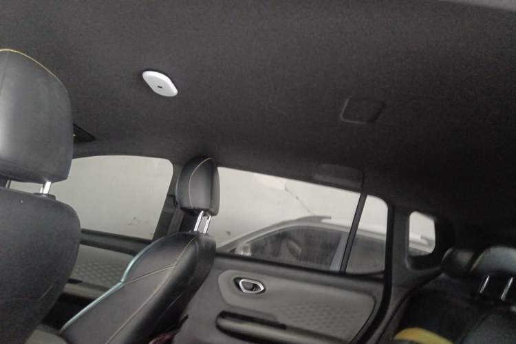 Used AION Y 2022 70 Enjoyment Edition Lithium Iron Phosphate Headliner