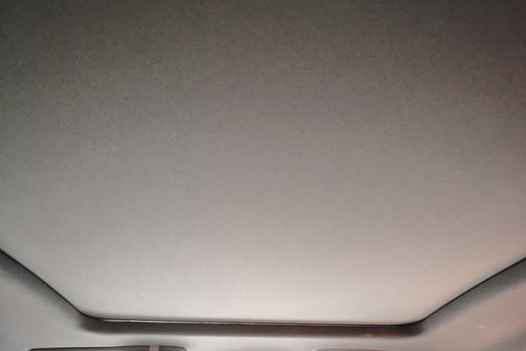 Used AION Y 2022 70 Intelligent Edition Lithium Iron Phosphate Headliner