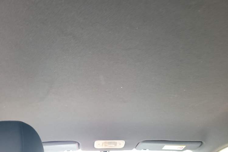 Used AION Y 2022 70 Enjoyment Edition Lithium Iron Phosphate Headliner