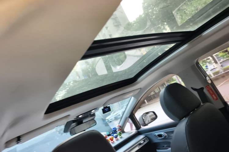 Used AION Y 2022 Plus 70 Smart Edition Headliner